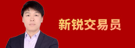 sfee2030参选企业或个人