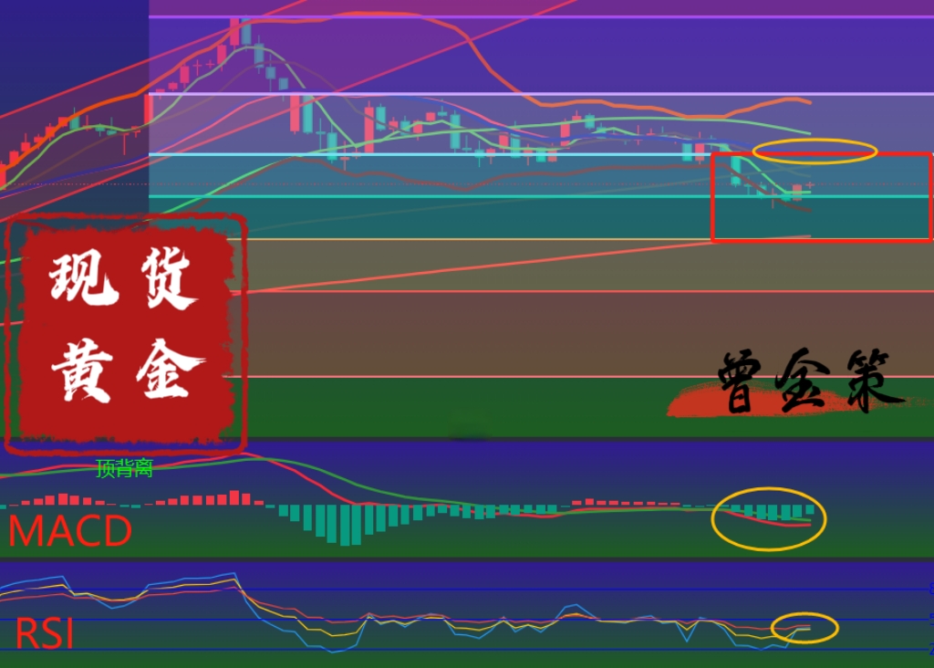 微信图片_20250502071337.jpg