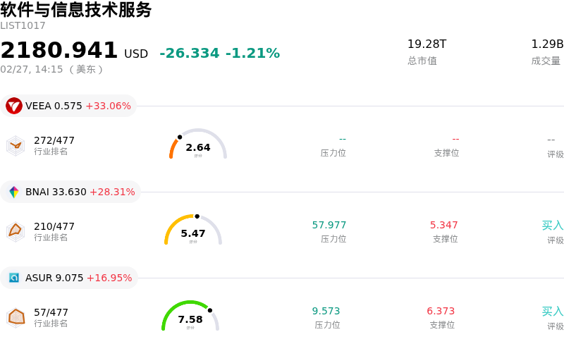 软件与信息技术服务