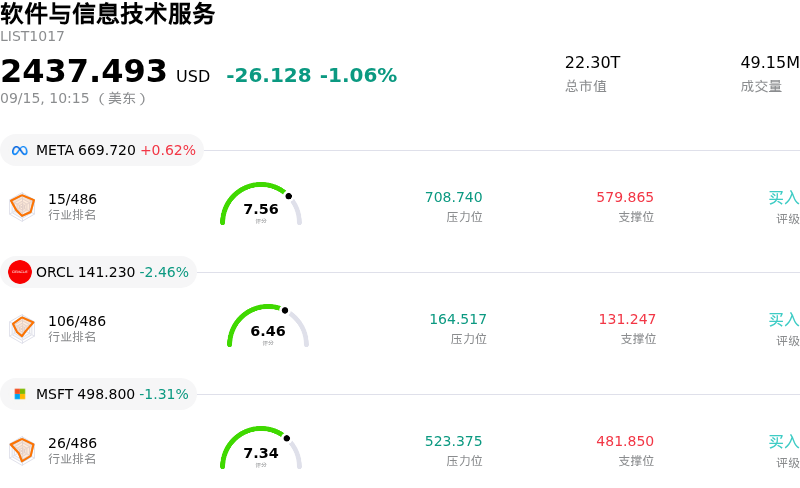 软件与信息技术服务
