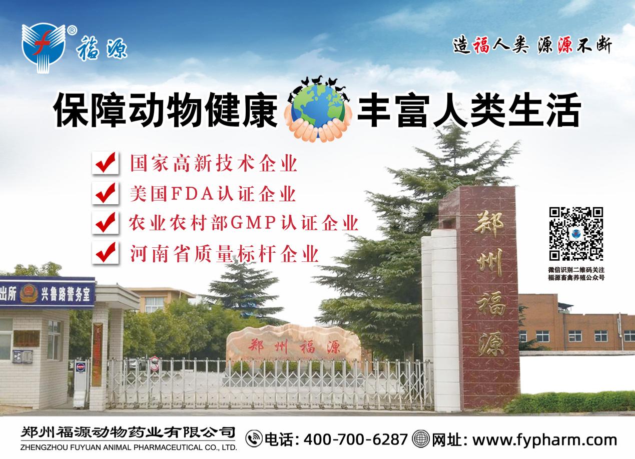 企业宣传