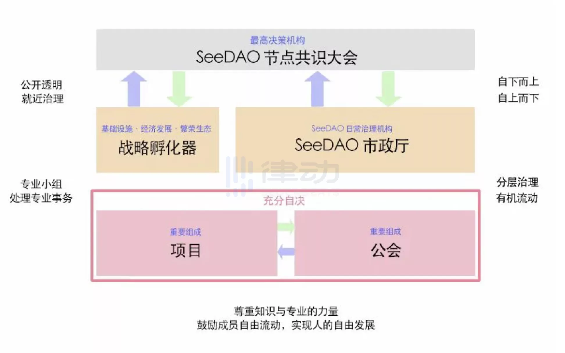 SeeDAO万字专访：11个月4次进出鬼门关，SeeDAO积累了什么样的共识和经验？