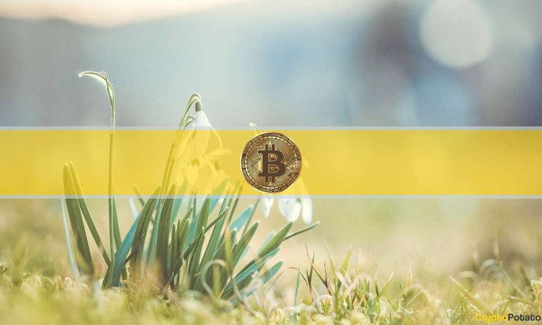 spring_bitcoin_cover