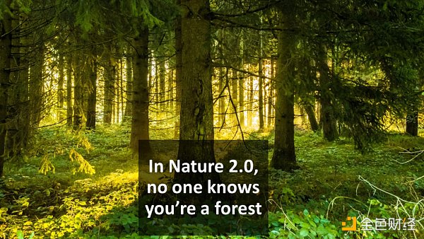  AI 与区块链的融合：迈向 Nature2.0