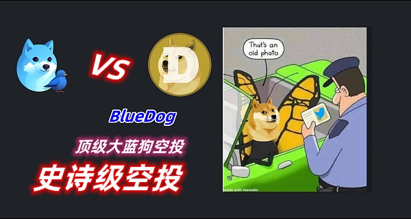 BlueDogeé¡¶çº§å¤§èçkt ï¼ä¸ä¸ªäººå¯ä»¥é¢1Yi æï¼ä»·å¼ä¸å¯ä¼°éï¼-ç¬¬5å¼ å¾ç-é¦ç å