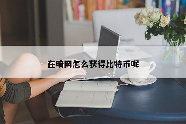 在暗网怎么获得比特币呢 第1张