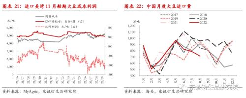 【季度报告——豆粕】关注点转向南美，内强外弱、近强远弱持续