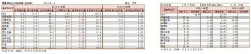 棉花：新旧棉价分化严重，该如何接轨？