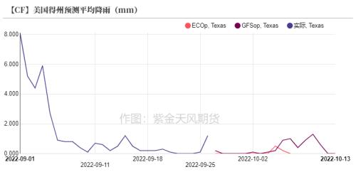 棉花：新旧棉价分化严重，该如何接轨？