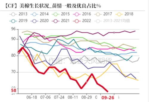 棉花：新旧棉价分化严重，该如何接轨？