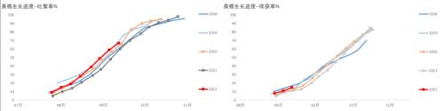 棉花：新旧棉价分化严重，该如何接轨？