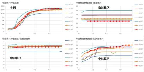 棉花：新旧棉价分化严重，该如何接轨？