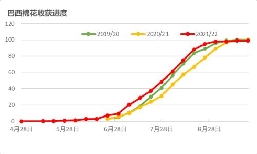 棉花：新旧棉价分化严重，该如何接轨？