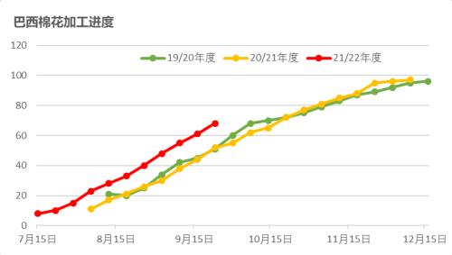 棉花：新旧棉价分化严重，该如何接轨？