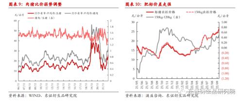 【热点报告——生猪】9月出栏量价齐升，二育节奏开始放缓