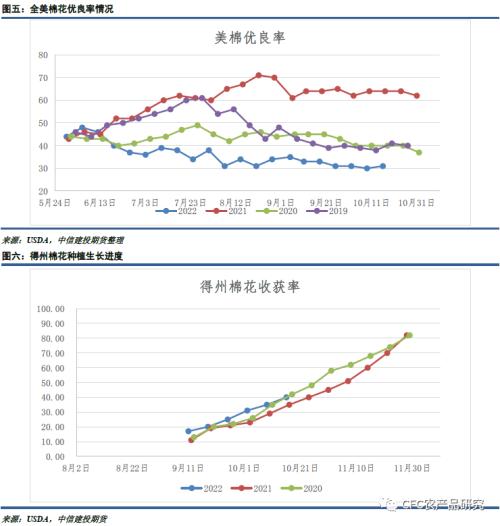 【谈棉访纱】籽棉市场的支撑力度减弱，棉市机会需要等待