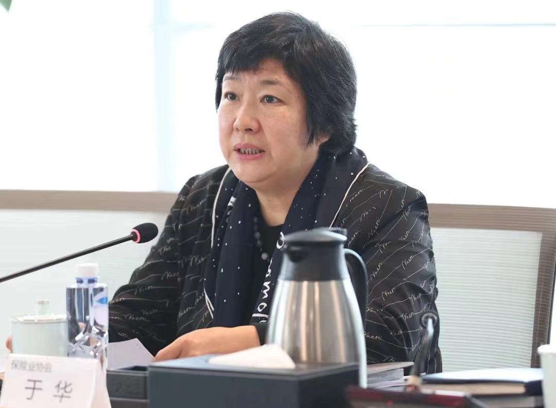 中国保险行业协会党委书记、会长