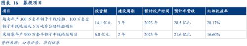 赛轮转债：国内轮胎龙头企业，发行转债加速海外产能扩张——上市定价分析