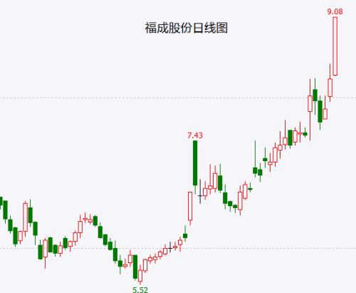 A股10月以来的反弹宣告结束！没有慈悲心，勿买殡葬股