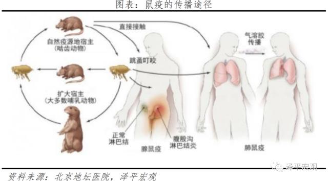 全球大瘟疫简史