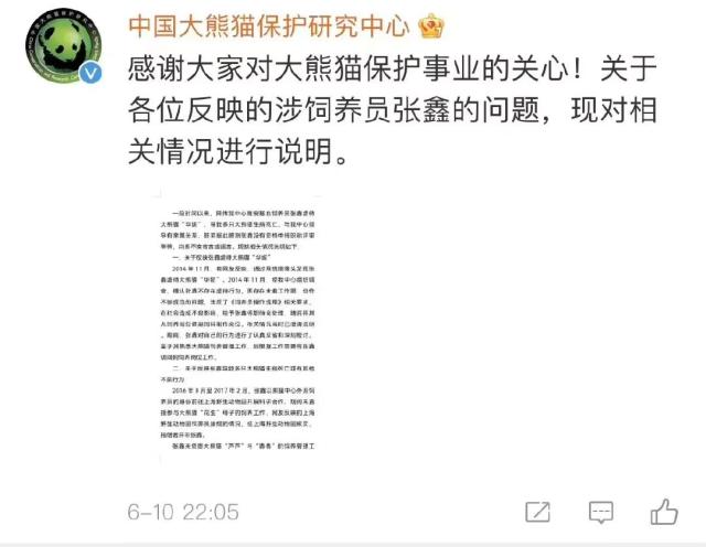 “饲养员张鑫虐待大熊猫”？官方回应