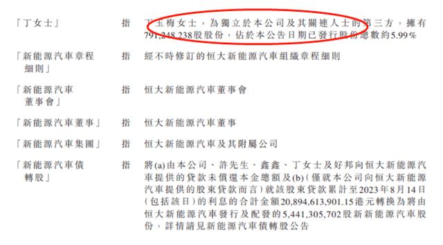 母子反目成仇，还是技术性讨债？许家印前妻丁玉梅向其次子许腾鹤追讨逾10亿港元