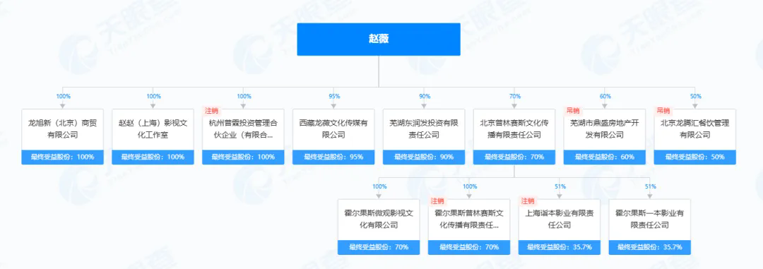 沦落到掏不出1.4万元？富婆赵薇传来最新消息，被申请强制执行，因30亿“蛇吞象”并购被监管层重罚，仍有400余起证券虚假陈述纠纷案件待处理