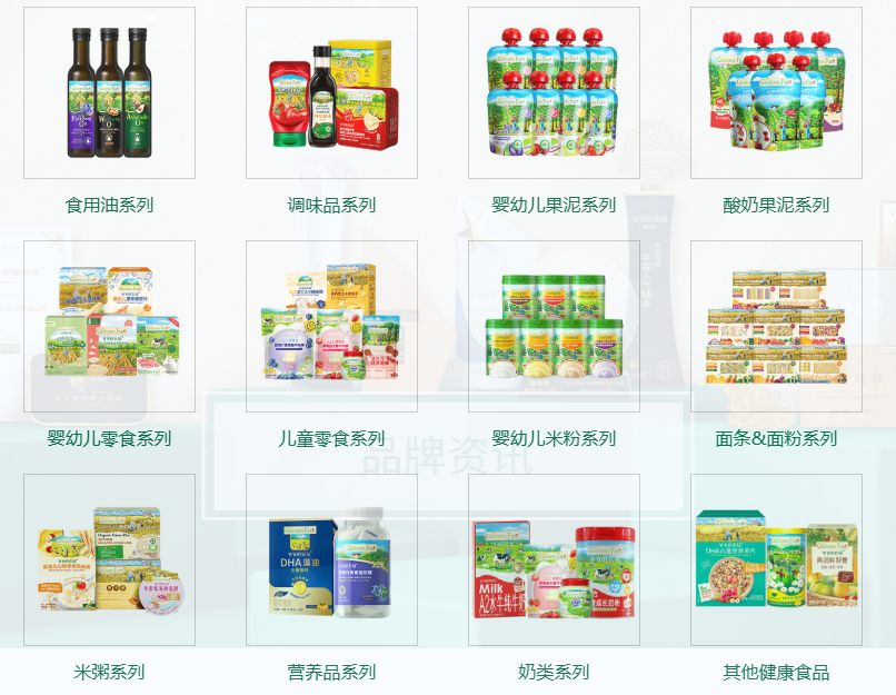 Analysis of IP Authorization Dependence and Resolution Strategies for Grandpa's Farm
