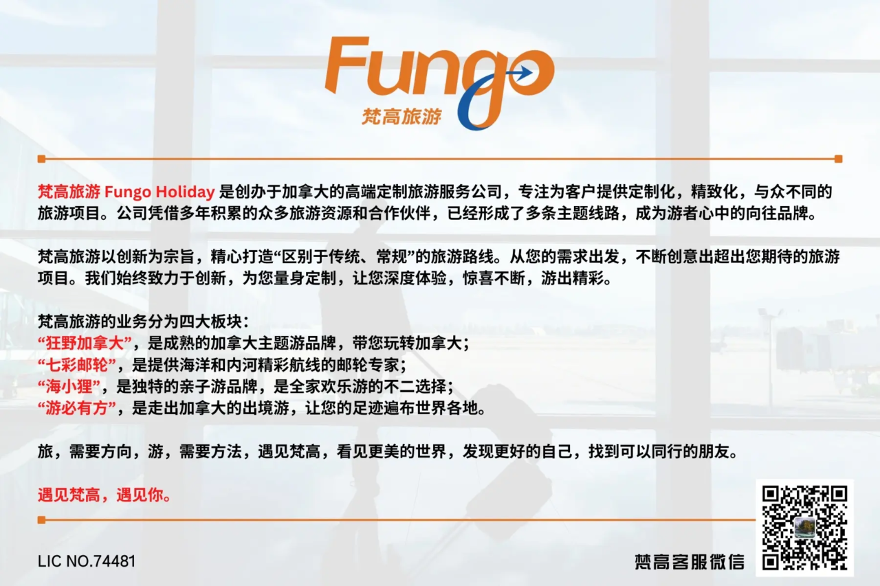 fungo